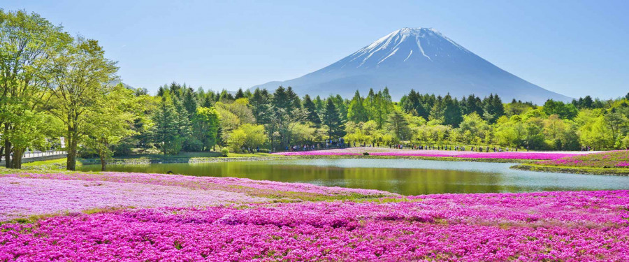Тур «Вокруг Японии: культура и традиции»