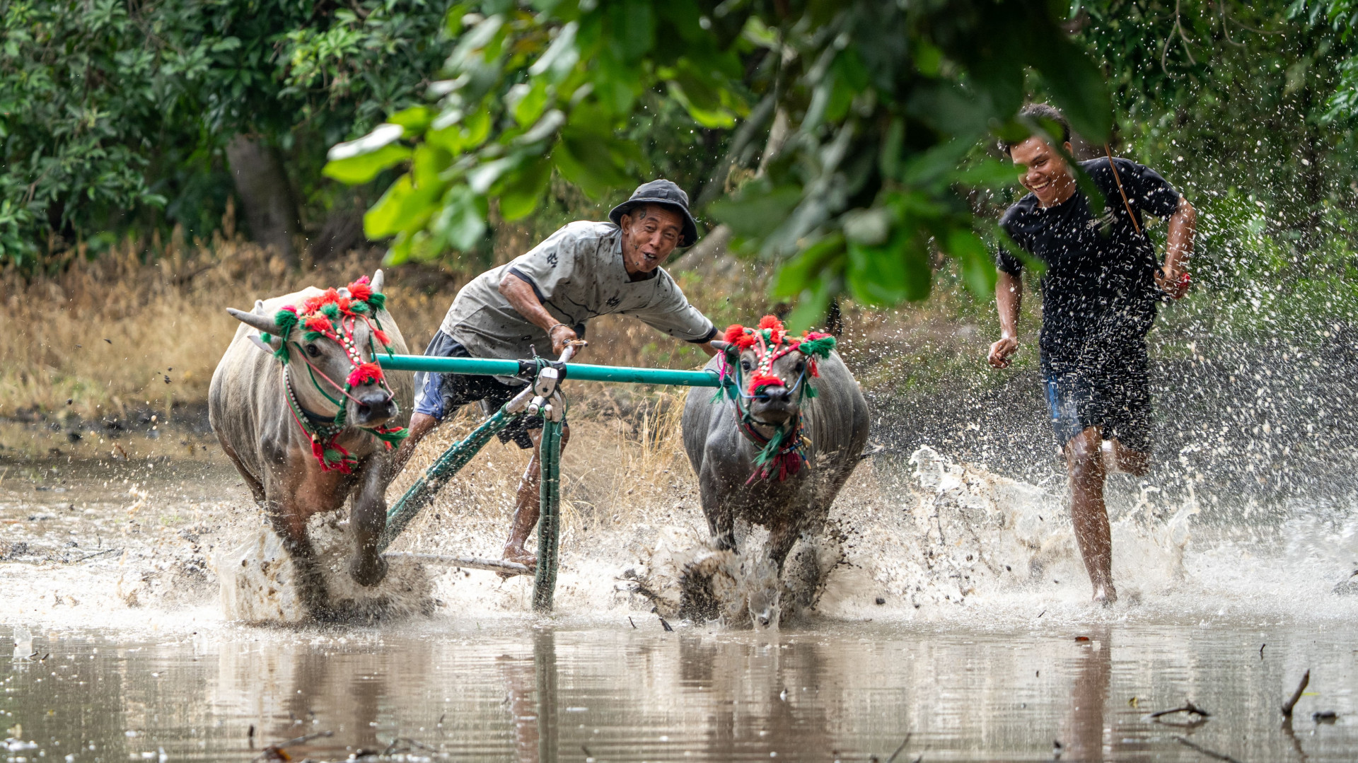 Круиз «Островные сокровища Индонезии и Восточного Тимора»