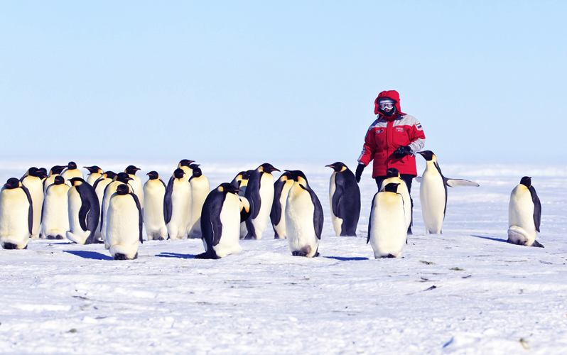 Тур «Посещение колонии императорских пингвинов и полет на Южный полюс»