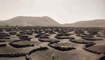 Тур «Великолепие Канарских островов и Мадейра»