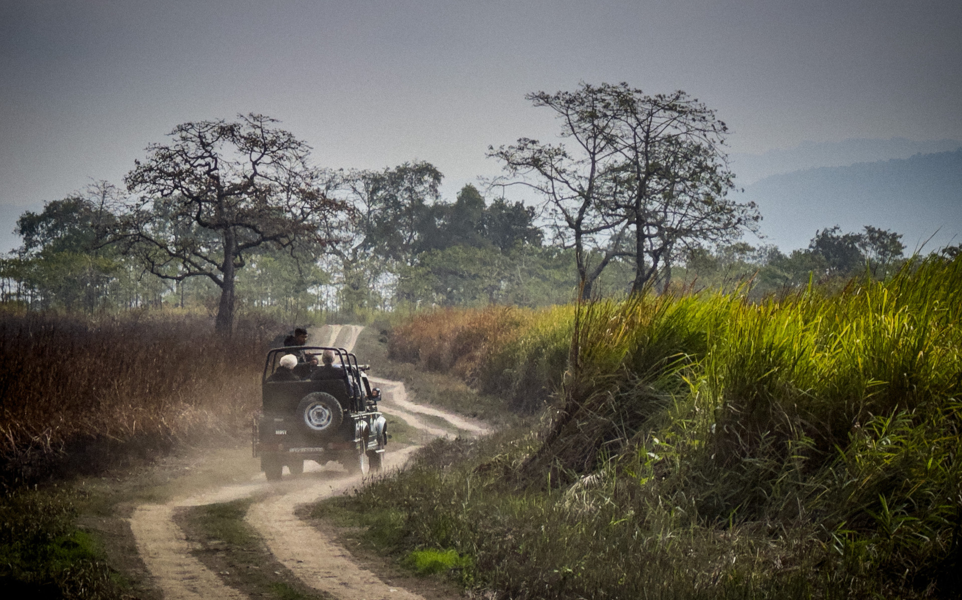 Круиз «Индия. Круиз по реке Брахмапутра - «Национальные парки и эндемики Ассама»»
