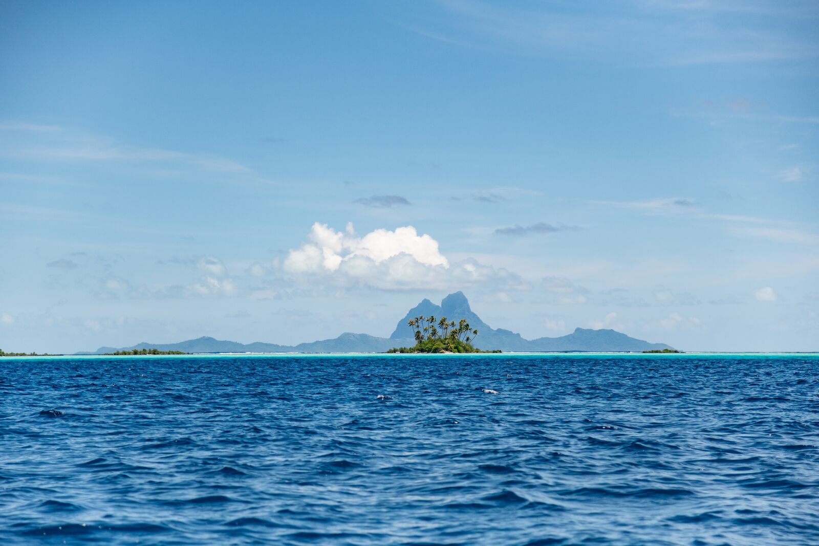 Круиз «Острова Пасхи и Питкэрн: затерянные острова, статуи Моаи и мятежники»