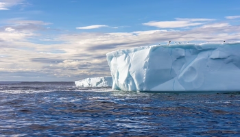 Тур «Антарктический полуостров: Кинг-Джордж - Пуэрто-Уильямс»