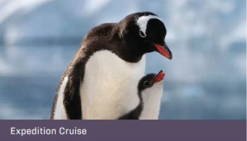 Тур «Антарктический полуостров»