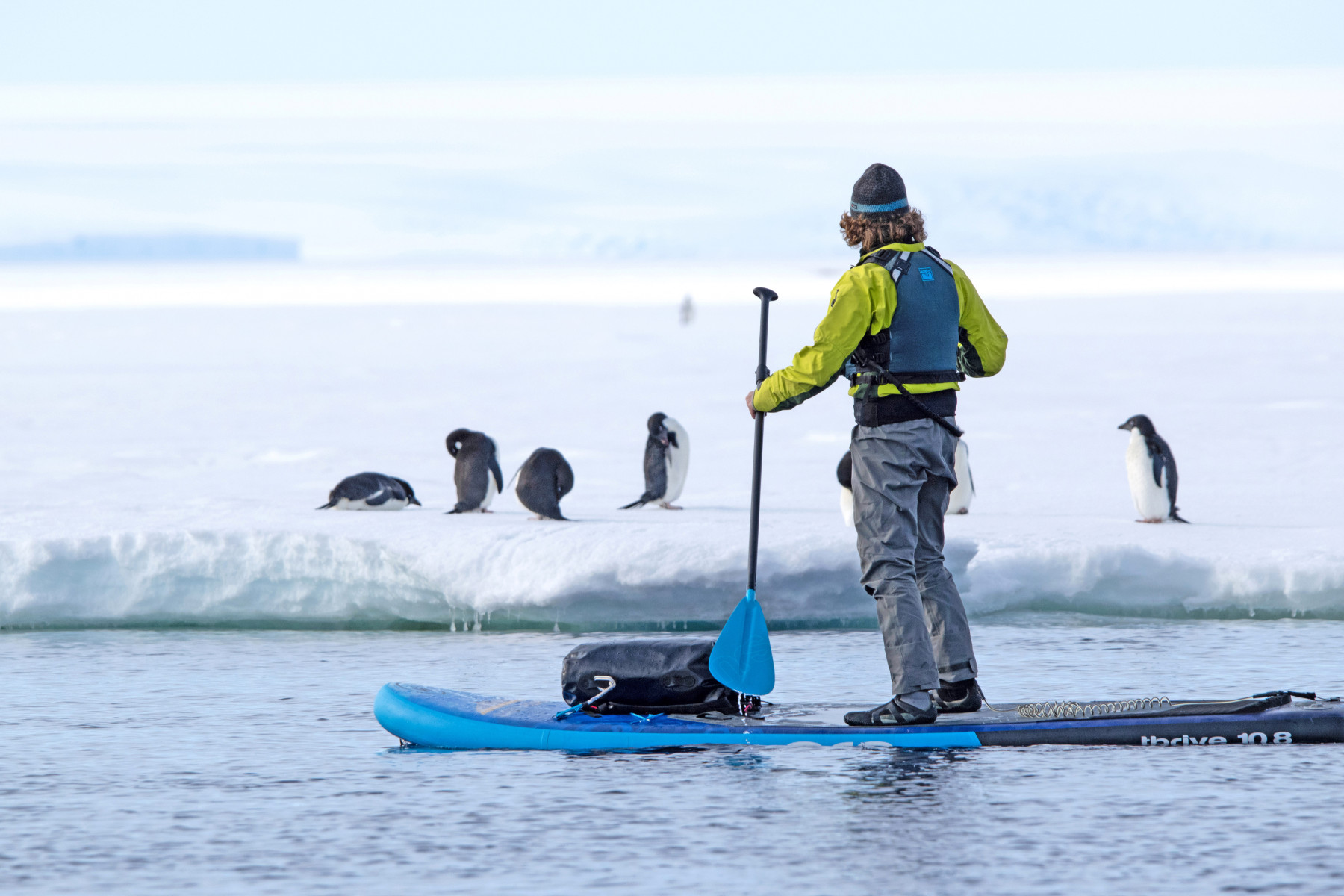 Круиз «Тур в Антарктиду. Круиз на Новый год»