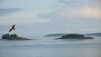 Тур «Исторические берега Северной Америки»