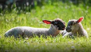 Тур «Британские архипелаги и кельтские берега»