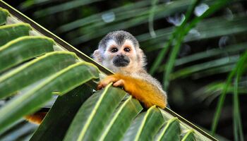 Тур «Сокровища Центральной Америки и Панамский канал»