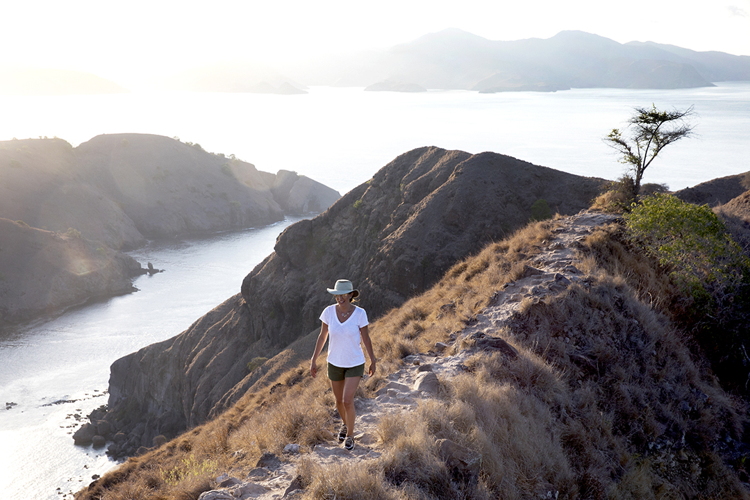 Круиз «Национальный парк Комодо »