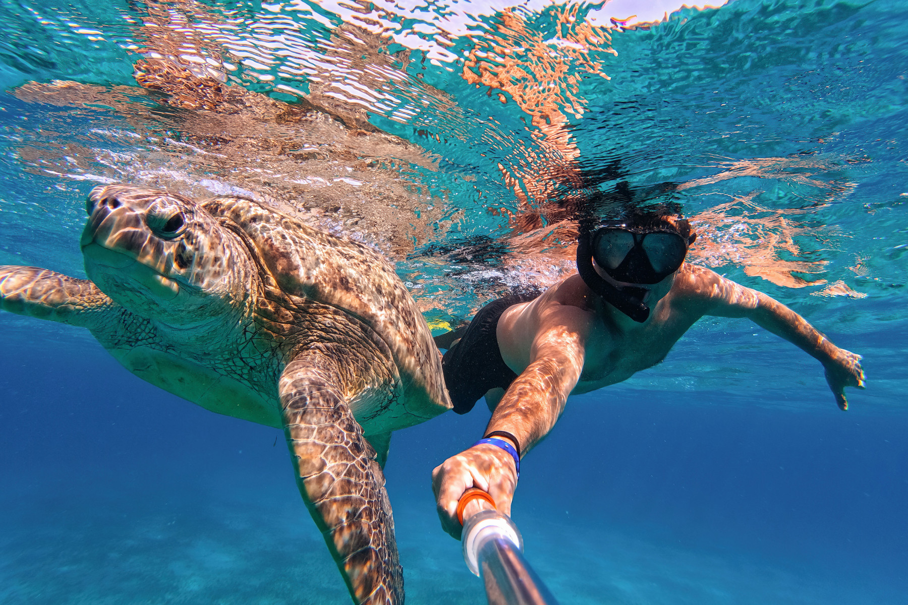 Круиз «Национальный парк Комодо »