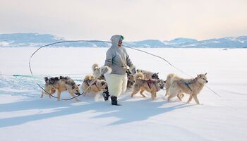 Тур «Высокая Арктика: за пределами обитаемого мира»