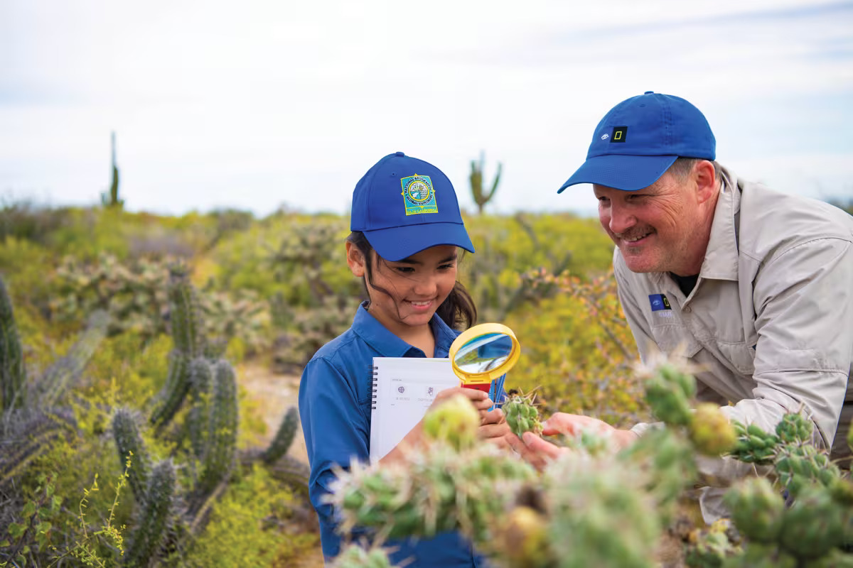 Круиз «Баха Калифорния: экспедиция к китам»