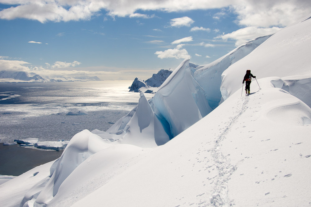 Круиз «Бюджетный круиз в Антарктику»