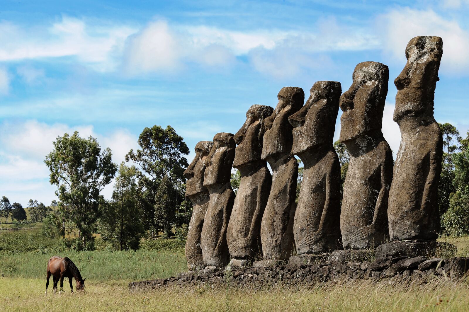 Круиз «Острова Пасхи и Питкэрн: затерянные острова, статуи Моаи и мятежники»