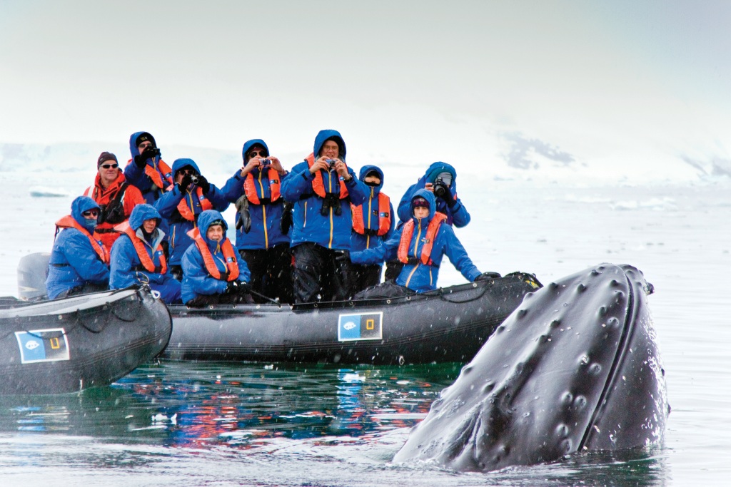 Круиз «Круиз к Антарктическому полуострову»