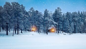 Тур «Ботнический залив: ворота в Арктику»