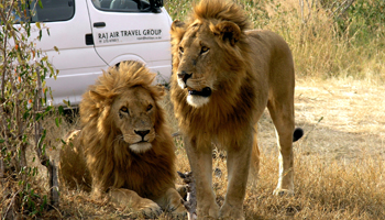 Тур «Национальные парки Кении и Танзании»