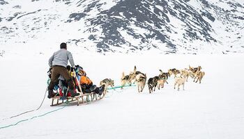 Тур «Инуитская весна в Аммассалик»