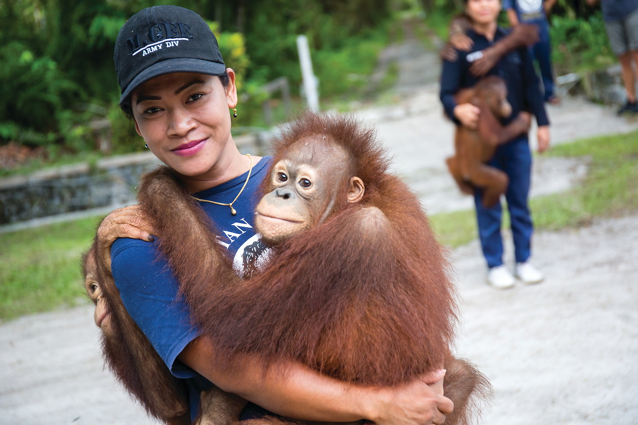 Тур «Тур на остров Борнео: орангутанги и комодские вараны»