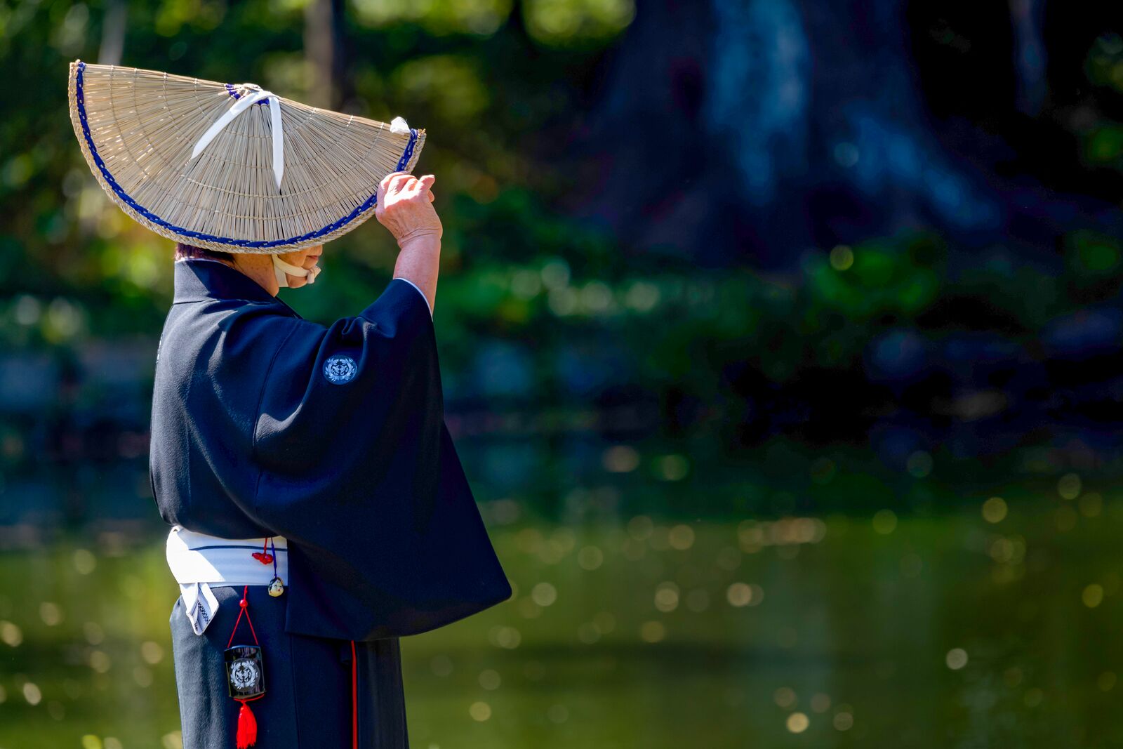 Круиз «Цветение в Японии»