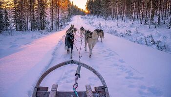 Тур «Ботнический залив: ворота в Арктику»