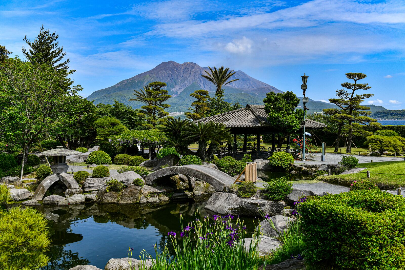 Круиз «Цветение в Японии»