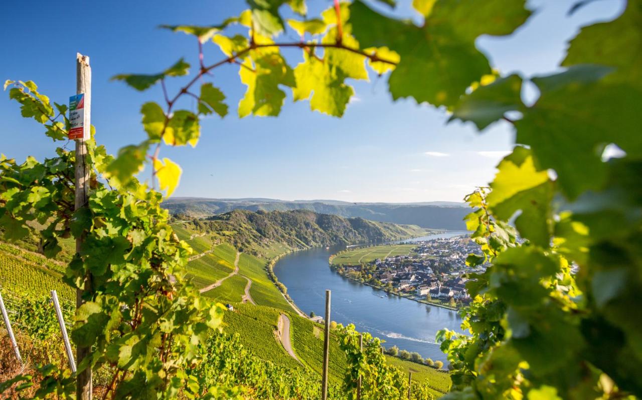 Круиз «Очаровательные замки и виноградники Рейна и Мозеля»