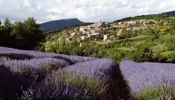 Круиз по французским рекам Рона и Сона  «Разноцветие Прованса и Южной Бургундии»