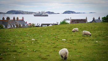 Тур «Музыкальное приключение в Кельтских землях»