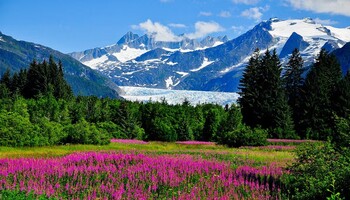 Тур «Круиз по Аляске из Ванкувера»