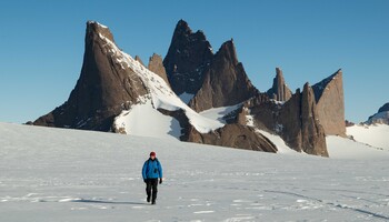 Тур «Ultima Oasis Camp. Эксклюзивный тур на Южный полюс и в колонию императорских пингвинов»