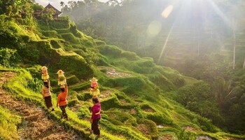 Тур «Австралия, Индонезия и Сингапур»