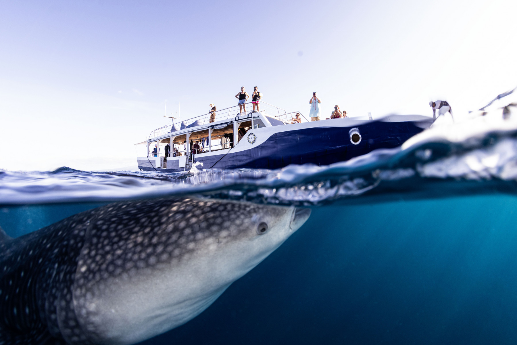 Круиз «Национальный парк Комодо »