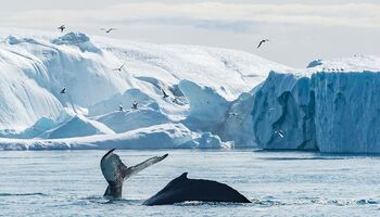 Тур «Северо-Западный проход»