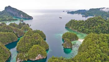 Тур «Путешествие в Индонезию: драконы, рифы и Острова пряностей – с Smithsonian Journeys»