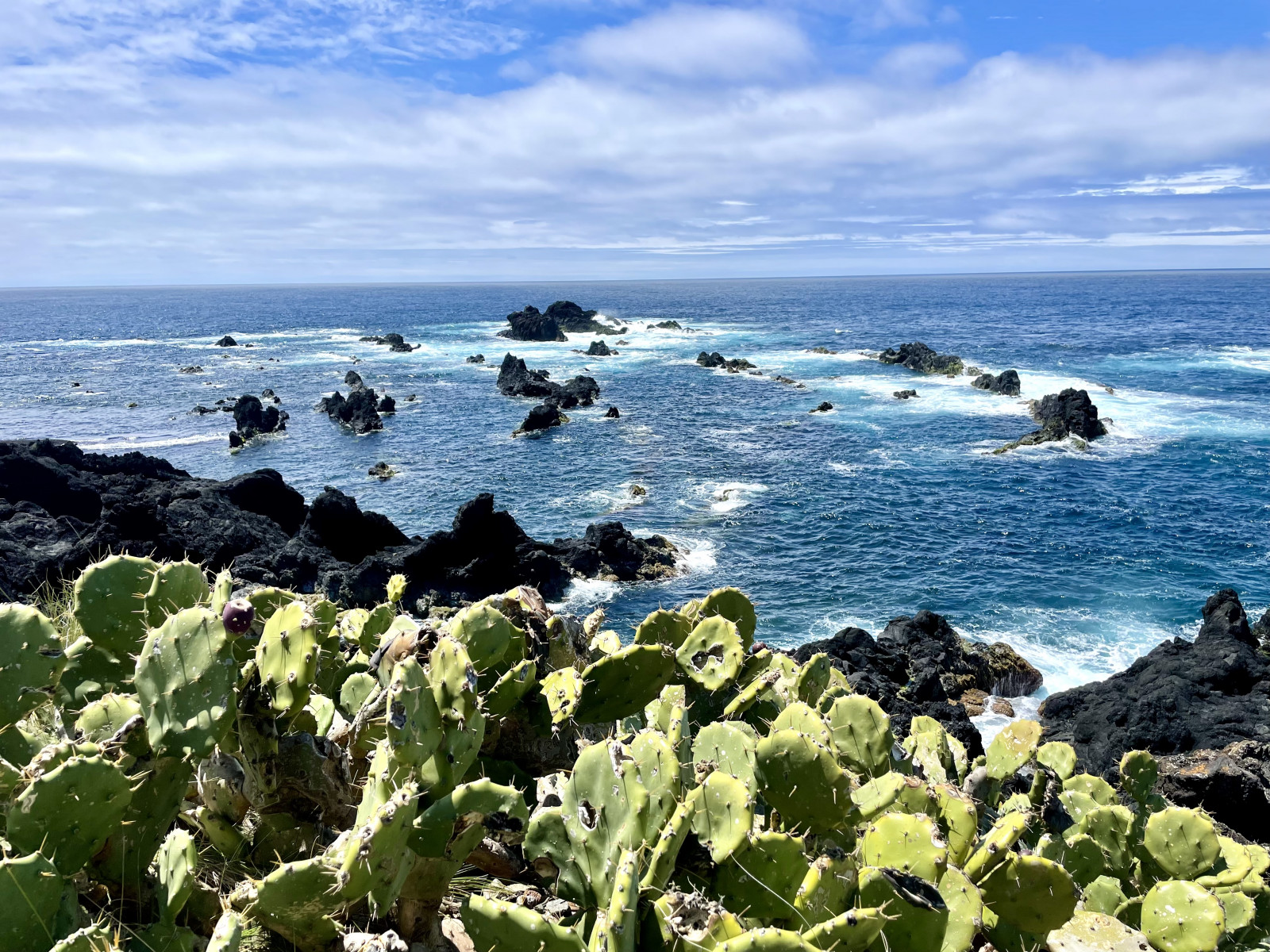 Круиз «Азорские острова: вулканы, киты и океан»