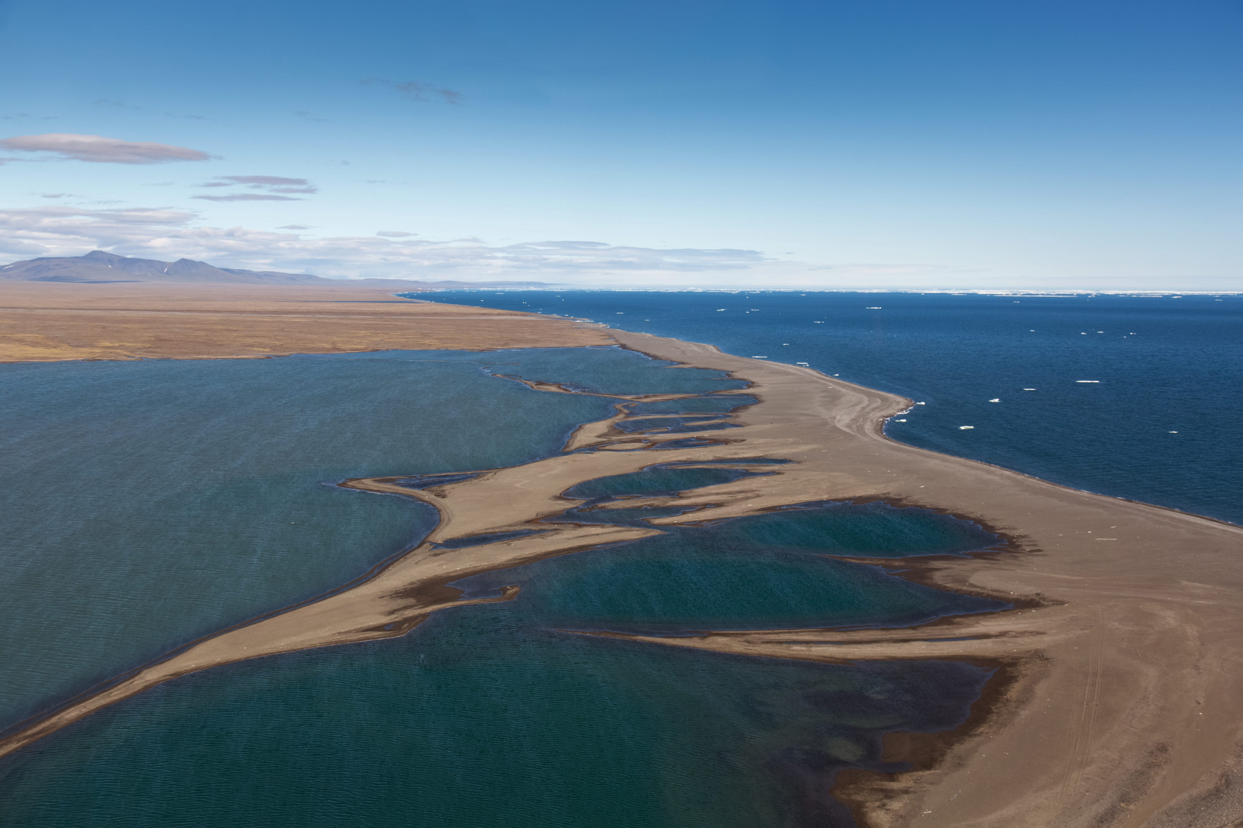 Круиз «Чукотка и остров Колючин: Земля белых медведей»