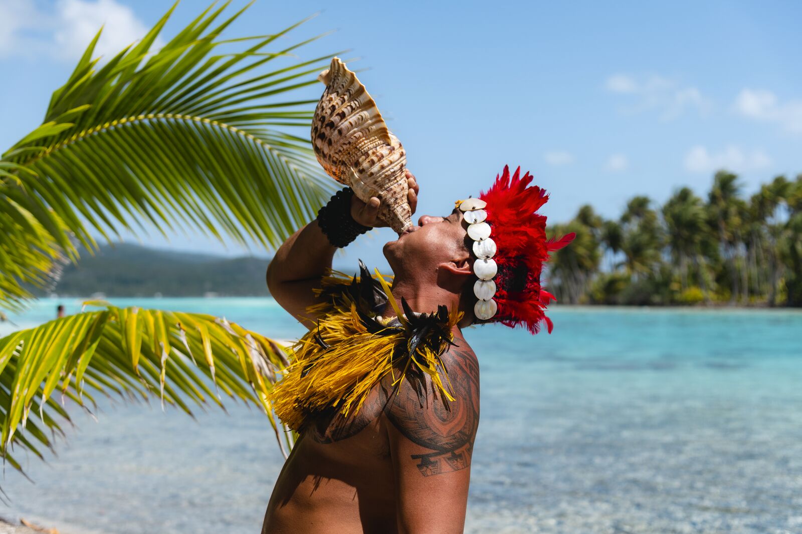 Круиз «Острова Пасхи и Питкэрн: затерянные острова, статуи Моаи и мятежники»