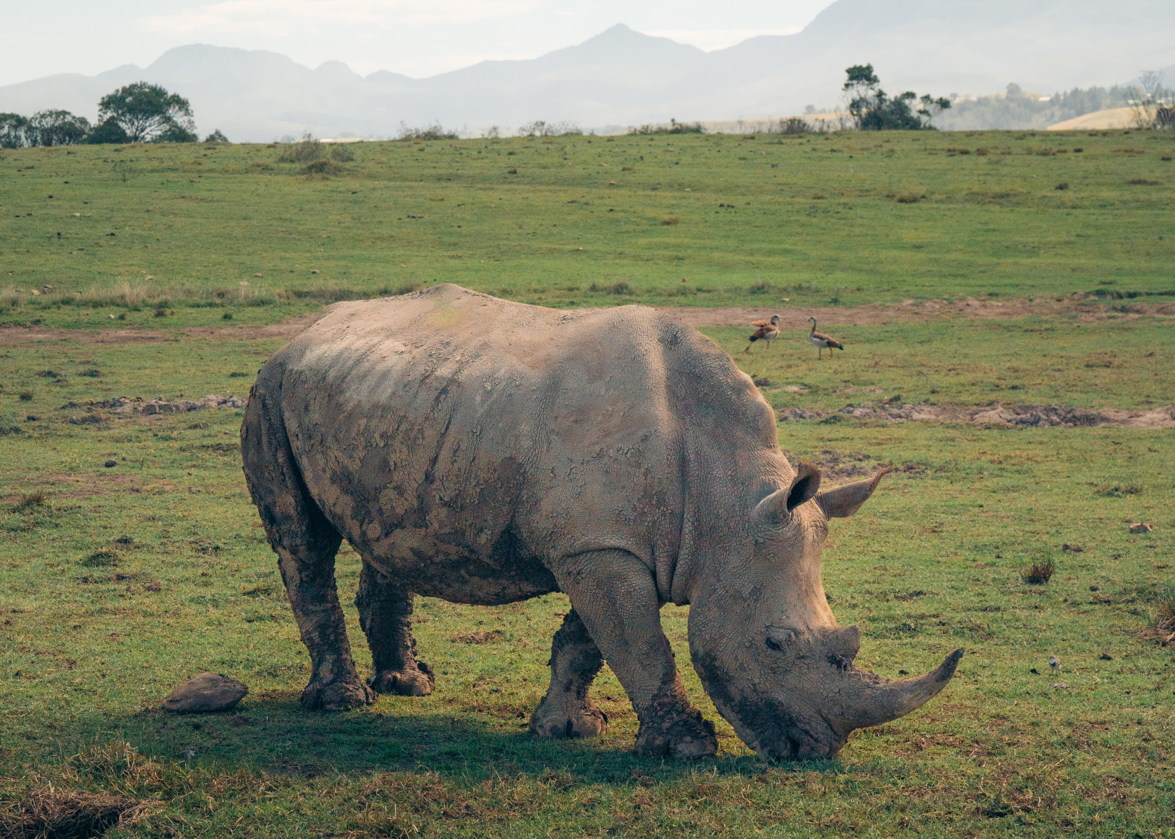 Круиз «ЮАР и восточная Африка»