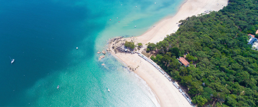 Тур «Тропический отдых из Бриджтауна»