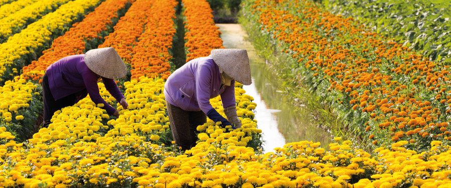 Тур «Роскошный Меконг и Сиемреап»