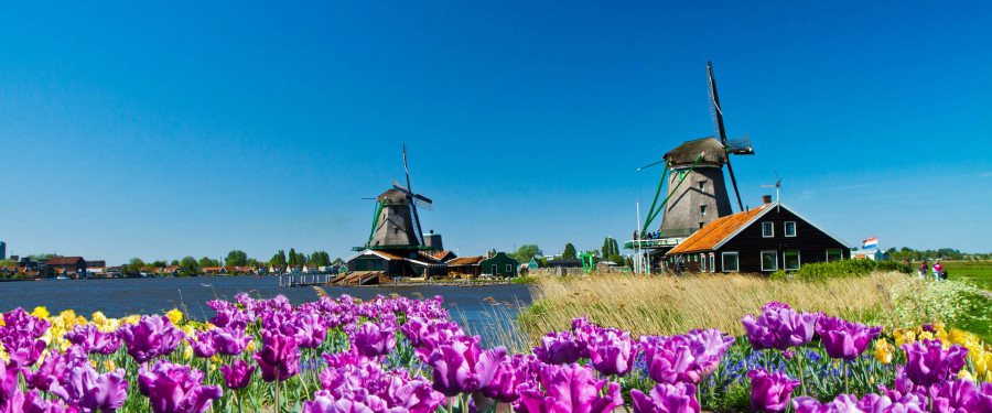 Тур «Нидерланды и Бельгия в цветах»