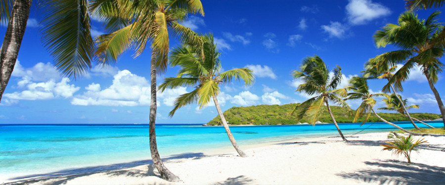 Тур «Круиз по островам Карибского моря »