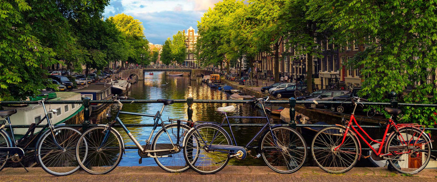 Тур «Амстердам и сокровища Рейна »