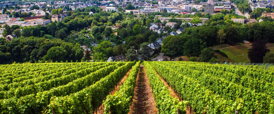 Тур «Легендарный Рейн и Мозель. Комбинированный тур с Берлином»