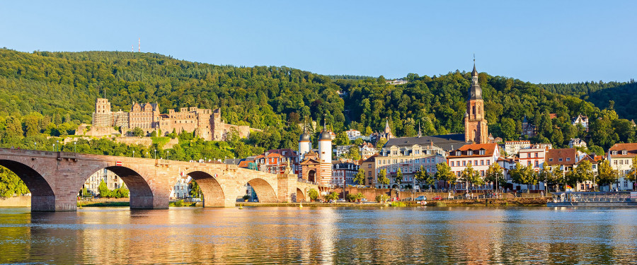 Тур «Магический Рейн »