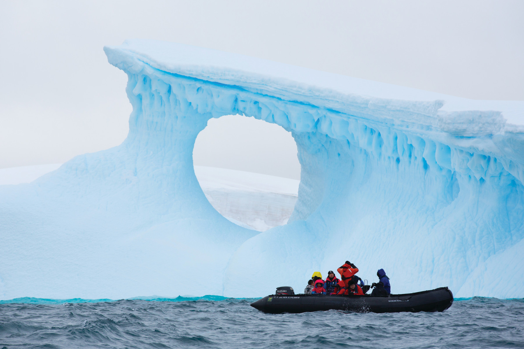 Круиз «Бюджетный круиз в Антарктику»