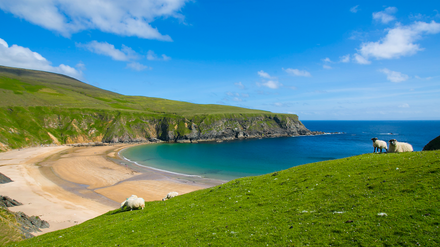 Тур «Кельтские панорамы»