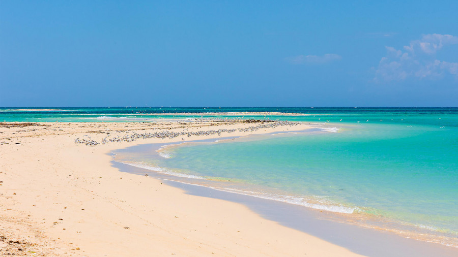 Тур «Сокровища Мадагаскара»