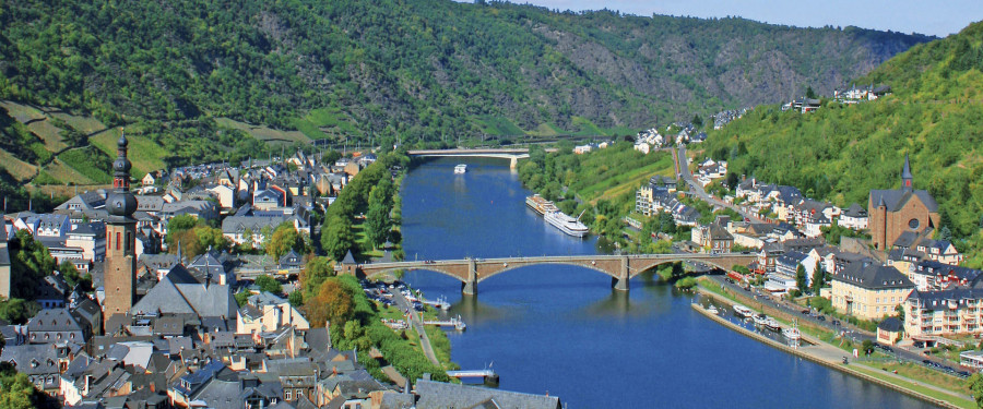 Швейцария и очаровательные замки и виноградники Рейна и Мозеля